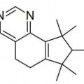 Sinfonide