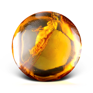 Amberwood Amberwood
