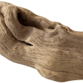 Driftwood Driftwood