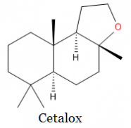 Cetalox Cetalox