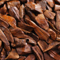 Mysore sandalwood