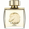 Pour Homme (Equus)