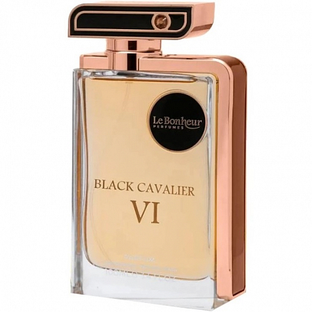 Black Cavalier VI