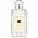 Midnight Musk & Amber