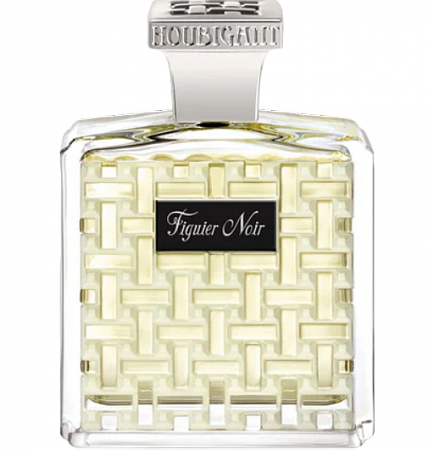 Figuier Noir