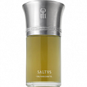 Saltus 