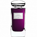Rose Infernale