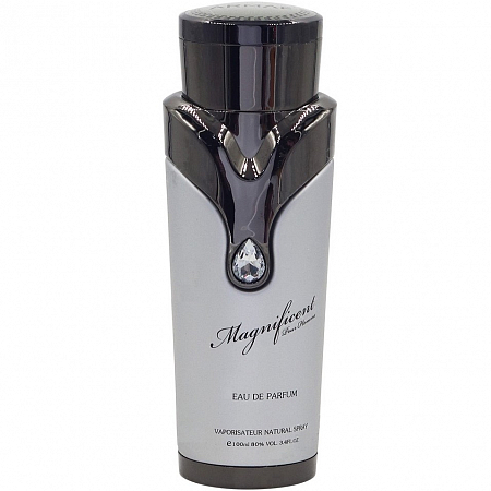 Magnificent Pour Homme