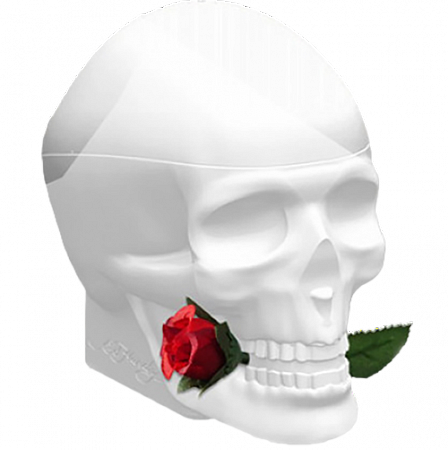 Ed Hardy Skulls & Roses for Her