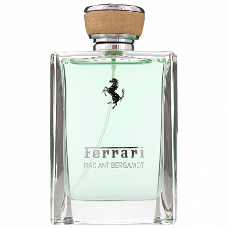 Radiant Bergamot