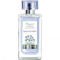 Autour de la Pivoine