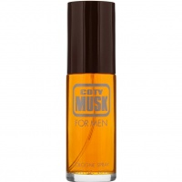 Coty Musk for Men