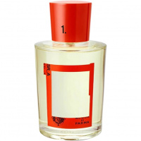 Colonia Limited Edition Orange