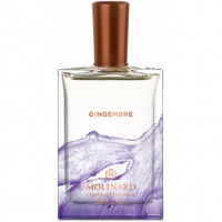 Gingembre