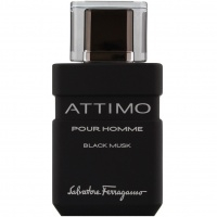 Attimo Black Musk Pour Homme 