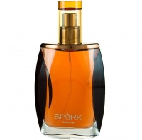 Spark for Men