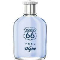 Feel The Night