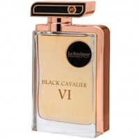 Black Cavalier VI