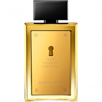 The Secret Absolu