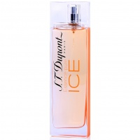 Essence Pure ICE Pour Femme